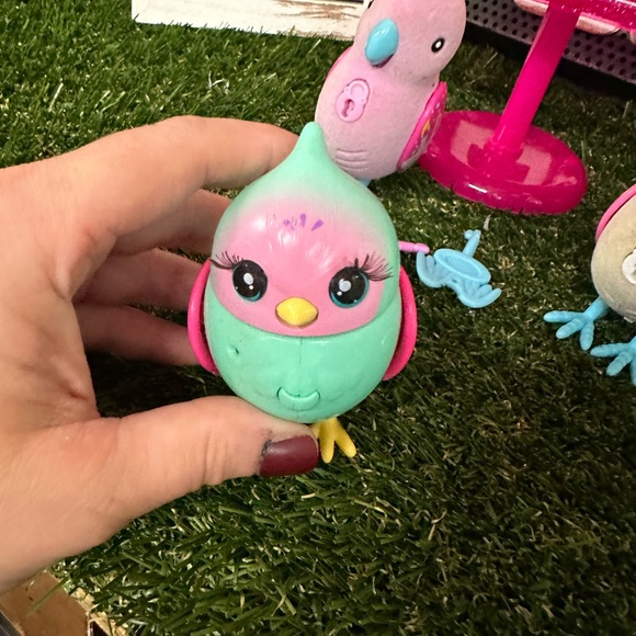 Three live pet birds 🐦 - Picture 9 of 12